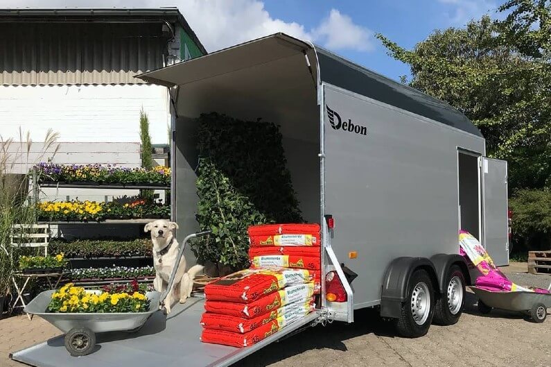 Debon Roadster 500 XL